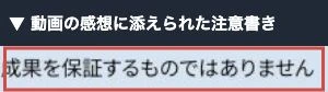 動画の感想に添えられた成果を保証しないという注意書き